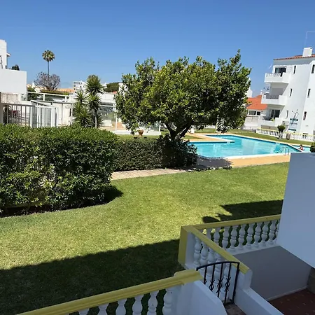 Cozy Oura 알부페이라